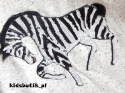 DIZAJN - extra sukienka dresowa Zebra