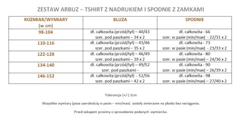 Zestaw ARBUZ - tshirt z nadrukiem i spodnie z zamkami Zestaw ARBUZ - tshirt z nadrukiem i spodnie z zamkami