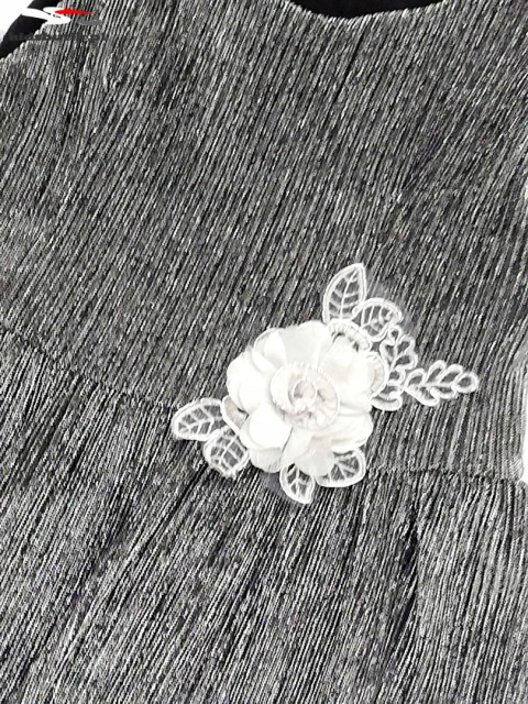 Elegant silver dress with detachable brooch Elegant silver dress with detachable brooch