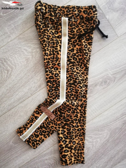 Spotted leopard-print leggings with lampasem