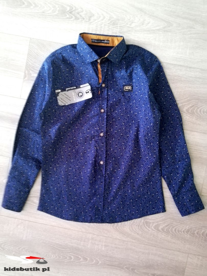 Elegant shirt in pattern with the tape on the back Elegant shirt in pattern with the tape on the back