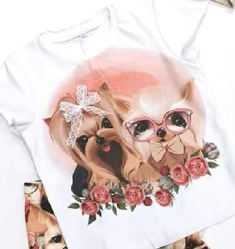 SHORT-sleeved BLOUSE SHORT-sleeved BLOUSE