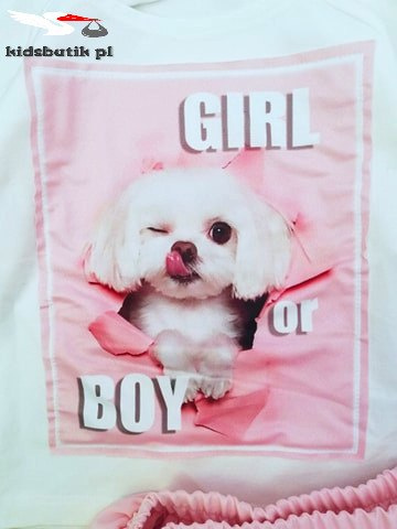 Pastel set with a dog Pastel set with a dog