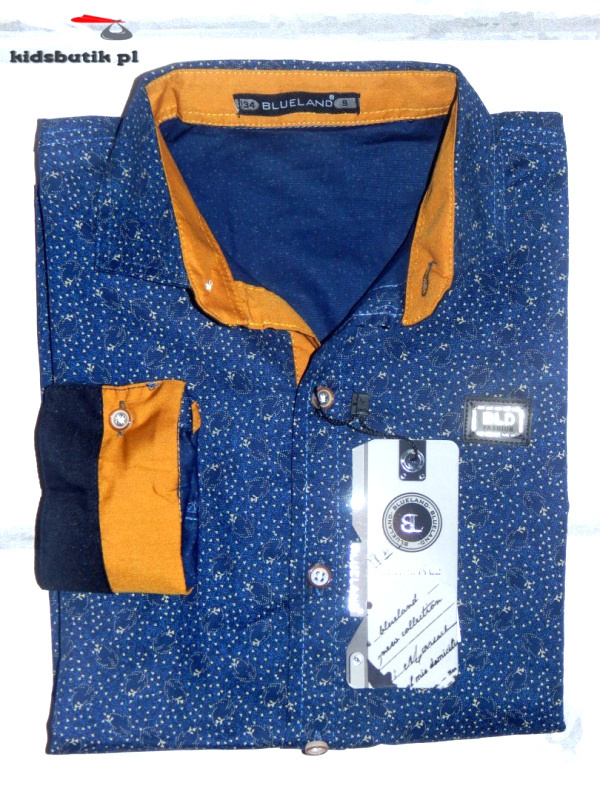 Elegant shirt in pattern with the tape on the back Elegant shirt in pattern with the tape on the back