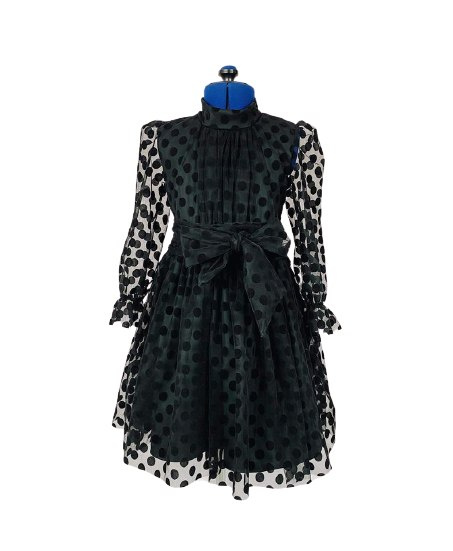 Victoria's occasional dress Victoria's occasional dress