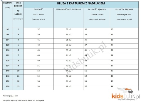 Bluza z kapturem Wojanek Kopie Diaxy z nadrukiem z tyłu - chaber