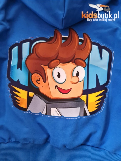 Bluza z kapturem Wojanek Kopie Diaxy z nadrukiem z tyłu - chaber