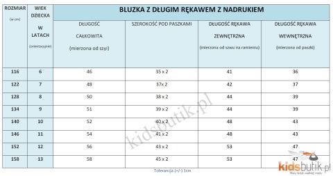 Bluzka z długim rękawem Wojanek Kopie Diaxy - błękitna