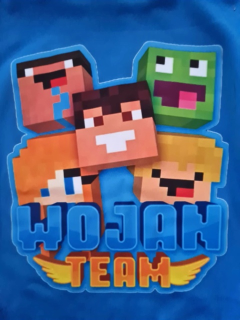 Ocieplana bluza z kapturem Wojanek minecraft - niebieska